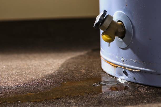  New Holstein, WI Water damage restoration Pros