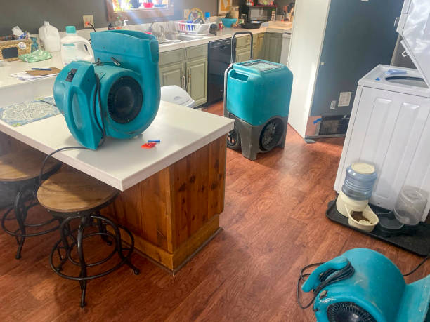 Best 24/7 water damage repair  in New Holstein, WI