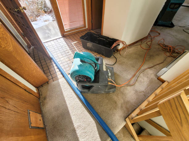 Best Commercial water damage restoration  in New Holstein, WI