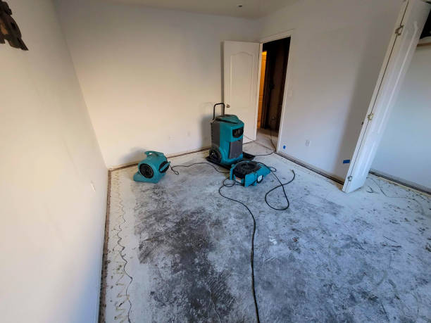 Best Water damage cleanup near me  in New Holstein, WI