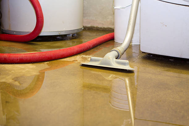 Best 24-hour water damage restoration  in New Holstein, WI