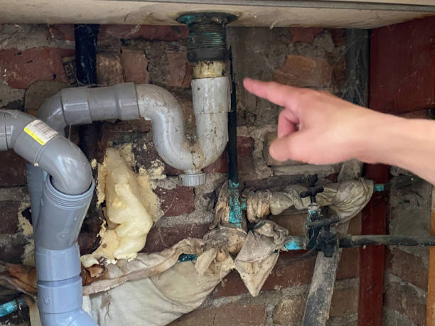 Best Basement water damage restoration  in New Holstein, WI