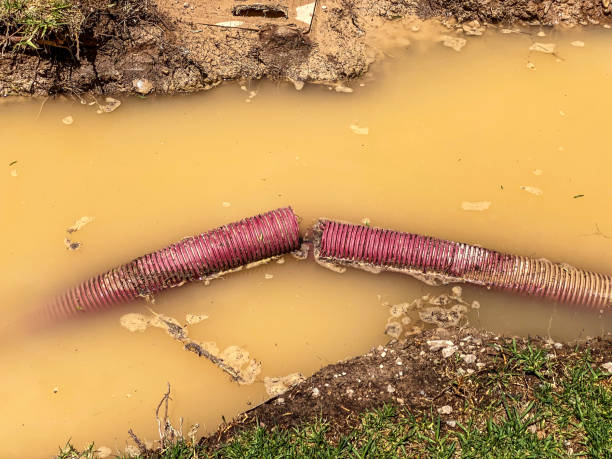 Best Professional water damage repair  in New Holstein, WI