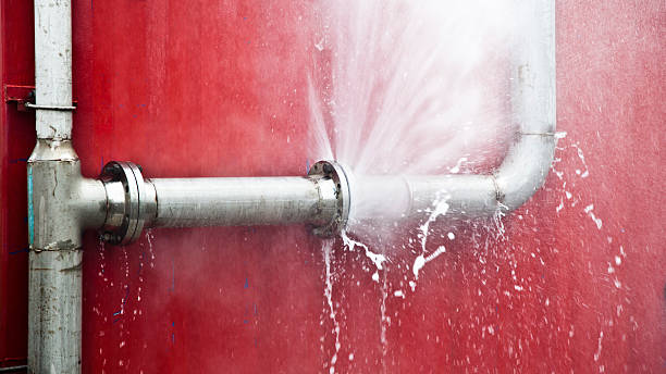 Best Residential water damage restoration  in New Holstein, WI
