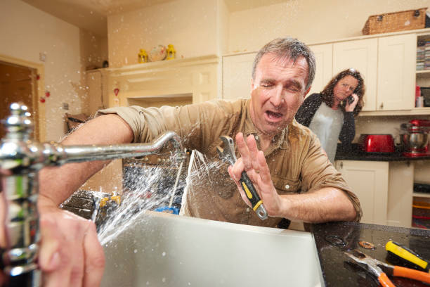 Best Carpet water damage restoration  in New Holstein, WI